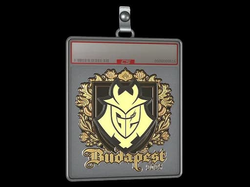 Sticker Slab | G2 esports (Gold) | Budapest 2025