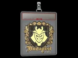 Sticker Slab | G2 esports (Gold) | Budapest 2025