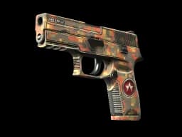 StatTrak™ P250 | Red Rock (Well-Worn)