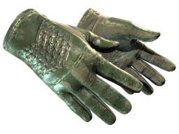 ★ Driver Gloves | Racing Green (Battle-Scarred)