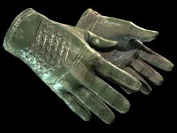 ★ Driver Gloves | Racing Green (Battle-Scarred)
