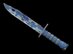 ★ StatTrak™ Bayonet | Bright Water (Well-Worn)