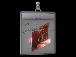 Sticker Slab | somebody (Foil) | Boston 2018