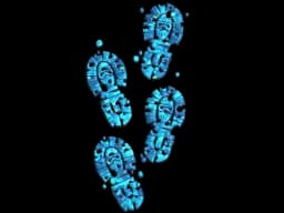 Sticker | CT Tracks (Glitter)