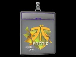 Sticker Slab | Fnatic (Holo) | Cologne 2016