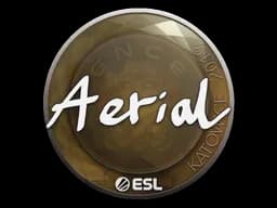 Sticker | Aerial | Katowice 2019