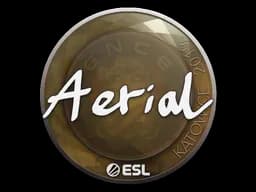 Sticker | Aerial | Katowice 2019