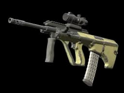 Souvenir AUG | Colony (Battle-Scarred)