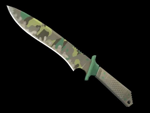★ Classic Knife | Boreal Forest (Well-Worn)