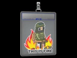 Sticker Slab | This Is Fine (CT)