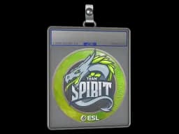 Sticker Slab | Team Spirit | Katowice 2019
