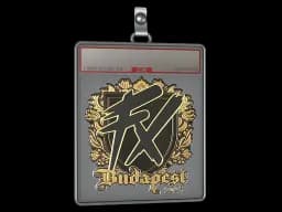 Sticker Slab | Fluxo (Gold) | Budapest 2025