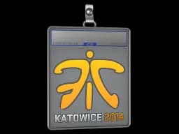 Sticker Slab | Fnatic | Katowice 2014
