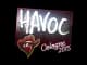Sticker | Havoc | Cologne 2015 CS2 skin