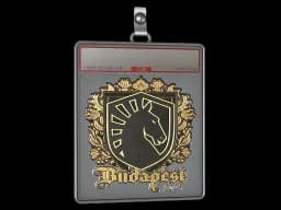 Sticker Slab | Team Liquid (Gold) | Budapest 2025