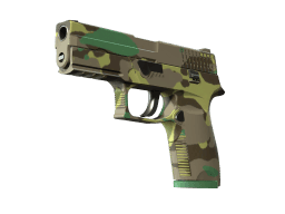 P250 | Boreal Forest (Minimal Wear)