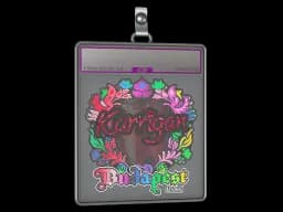 Sticker Slab | karrigan (Holo) | Budapest 2025