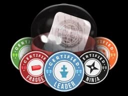 Team Roles Capsule