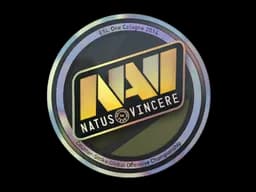 Natus Vincere (Holo) | Cologne 2014
