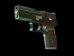 P250 | Visions (Battle-Scarred)
