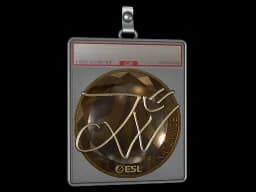 Sticker Slab | JW (Gold) | Katowice 2019