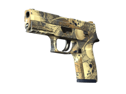 P250 | Contamination (Factory New)