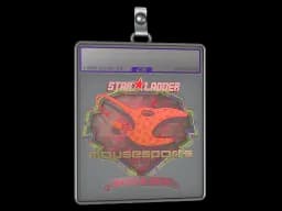 Sticker Slab | mousesports (Holo) | Berlin 2019