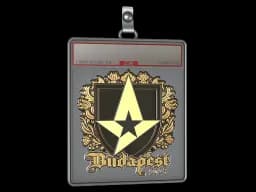 Sticker Slab | Astralis (Gold) | Budapest 2025