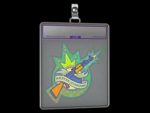 Sticker Slab | Master Guardian (Holo)