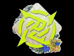 Ninjas in PyjamasRio 2022 - CS2 Skin Prices