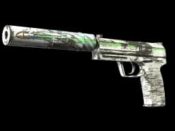 USP-S | Road Rash CS2 skin
