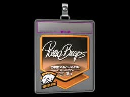 Sticker Slab | pashaBiceps (Foil) | Cluj-Napoca 2015