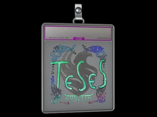 Sticker Slab | TeSeS (Holo) | Austin 2025