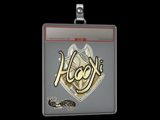 Sticker Slab | HooXi (Gold) | Paris 2023