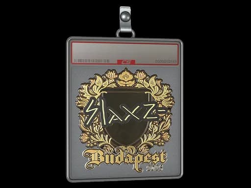 Sticker Slab | slaxz- (Gold) | Budapest 2025