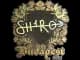 Sticker | sh1ro (Gold) | Budapest 2025 CS2 skin