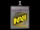 Sticker Slab | Natus Vincere | 2020 RMR CS2 skin