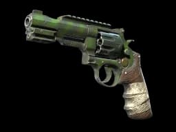 R8 Revolver | Survivalist (Well-Worn)
