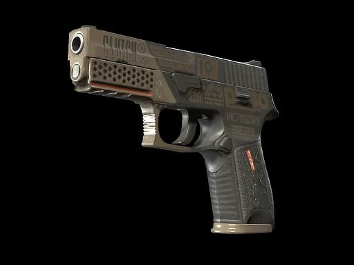 P250 | Bullfrog (Well-Worn)