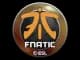 Sticker | Fnatic | Katowice 2019 CS2 skin