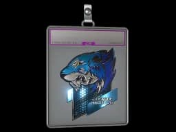 Sticker Slab | Flash Gaming (Foil) | Boston 2018