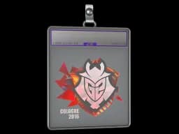Sticker Slab | G2 Esports (Holo) | Cologne 2016