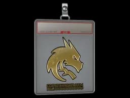 Sticker Slab | Team Spirit (Gold) | Copenhagen 2024