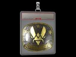 Sticker Slab | Vitality (Gold) | Austin 2025