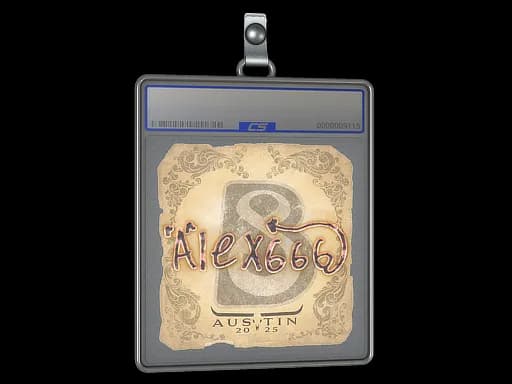 Sticker Slab | alex666 | Austin 2025