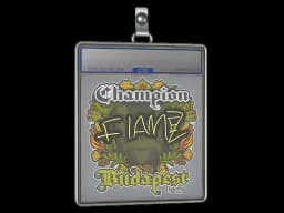 Sticker Slab | FlameZ (Champion) | Budapest 2025