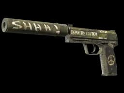 StatTrak™ USP-S | Flashback (Minimal Wear)