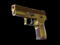 P250 | Sedimentary CS2 skin