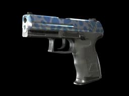 P2000 | Ocean Foam CS2 skin