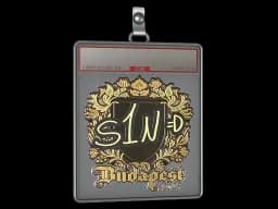 Sticker Slab | s1n (Gold) | Budapest 2025